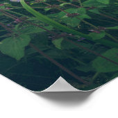 Blumen im Wald Poster (Ecke)