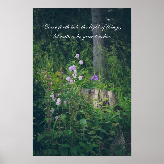 Blumen im Wald Poster (Vorne)