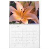 Blumen in der Blüte Kalender (Jan 2027)