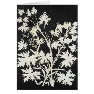 Blumen in der Silhouette