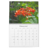 BLUMEN in einem Florida-Garten… Kalender (Feb 2027)