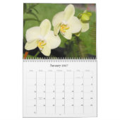 BLUMEN in einem Florida-Garten… Kalender (Jan 2027)