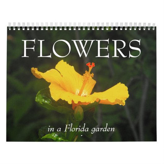 BLUMEN in einem Florida-Garten… Kalender (Titelbild)