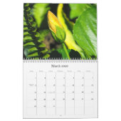 BLUMEN in einem Florida-Garten… Kalender (Mär 2026)
