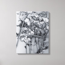 Blumen in Schwarz und Weiß