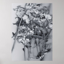 Blumen in Schwarz und Weiß