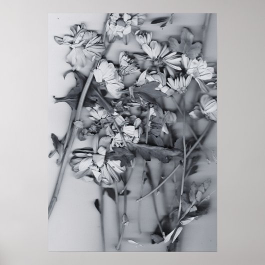 Blumen in Schwarz und Weiß Poster (Vorne)