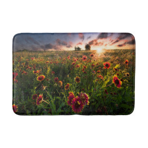 Blumen   Indian Blanket Wildblume Texas Badematte