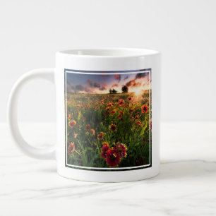 Blumen   Indian Blanket Wildblume Texas Jumbo-Tasse