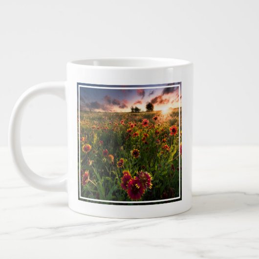 Blumen | Indian Blanket Wildblume Texas Jumbo-Tasse (Links)