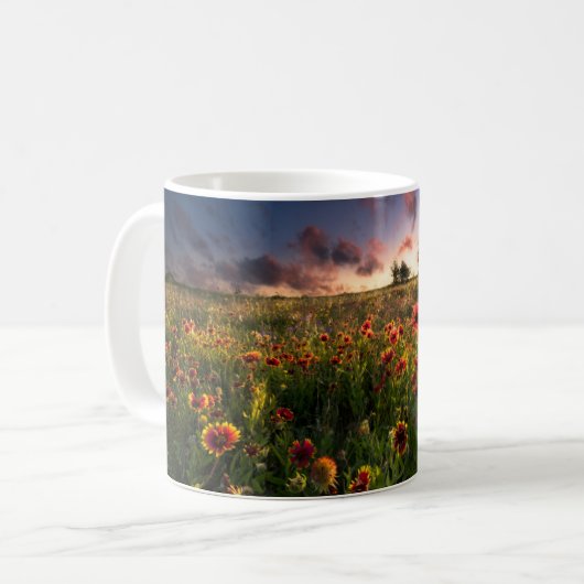 Blumen | Indian Blanket Wildblume Texas Kaffeetasse (Vorderseite Links)