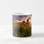 Blumen | Indian Blanket Wildblume Texas Kaffeetasse (Mittel)