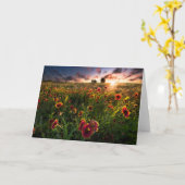 Blumen | Indian Blanket Wildblume Texas Karte (Gelbe Blume)