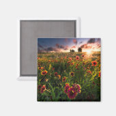 Blumen | Indian Blanket Wildblume Texas Magnet (Vorderseite/Rückseite)
