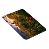 Blumen | Indian Blanket Wildblume Texas Magnet (Rechte Seite)