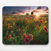 Blumen | Indian Blanket Wildblume Texas Mousepad (Vorne)