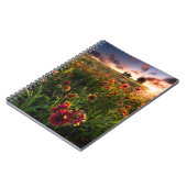 Blumen | Indian Blanket Wildblume Texas Notizblock (Linke Seite)