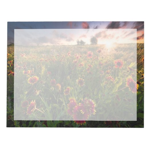 Blumen | Indian Blanket Wildblume Texas Notizblock (Vorderseite)