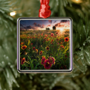 Blumen Indian Blanket Wildblume Texas Ornament Aus Metall