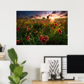 Blumen | Indian Blanket Wildblume Texas Poster (Heimbüro)