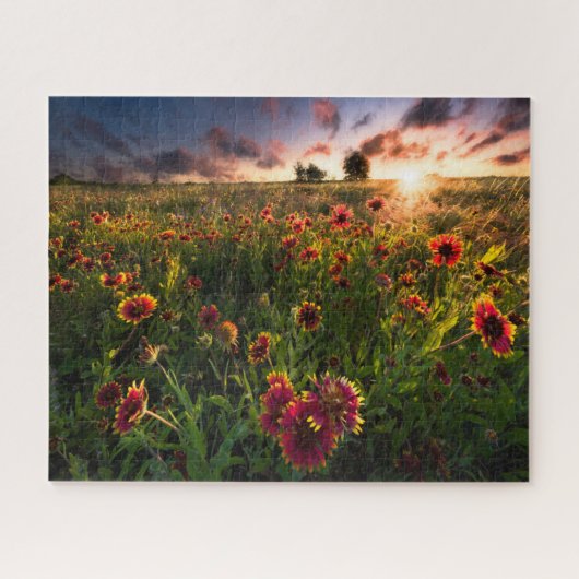 Blumen | Indian Blanket Wildblume Texas Puzzle (Horizontal)