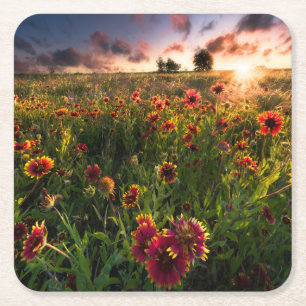 Blumen   Indian Blanket Wildblume Texas Rechteckiger Pappuntersetzer