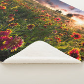 Blumen | Indian Blanket Wildblume Texas Sherpadecke (3/4)
