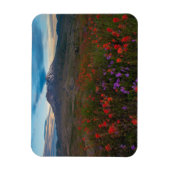 Blumen | Indian Paintbrush & Penstemon Magnet (Vertikal)