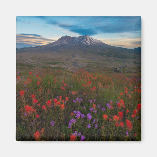 Blumen | Indian Paintbrush & Penstemon Magnet (Vorne)