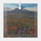 Blumen | Indian Paintbrush & Penstemon Ornament Aus Glas (Vorderseite)