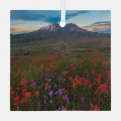 Blumen | Indian Paintbrush & Penstemon Ornament Aus Glas (Rückseite)