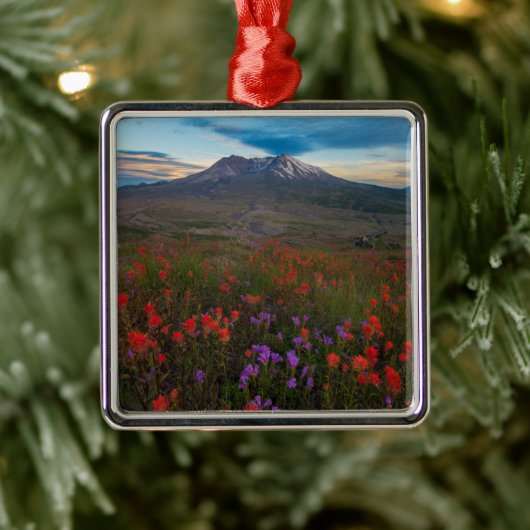 Blumen | Indian Paintbrush & Penstemon Ornament Aus Metall (Baum)