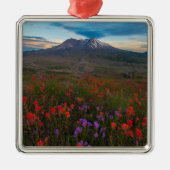 Blumen | Indian Paintbrush & Penstemon Ornament Aus Metall (Vorne)