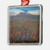 Blumen | Indian Paintbrush & Penstemon Ornament Aus Metall (Links)