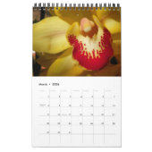 Blumen Kalender (Mär 2026)