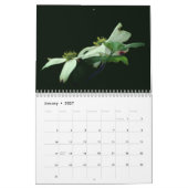 Blumen  kalender (Jan 2027)