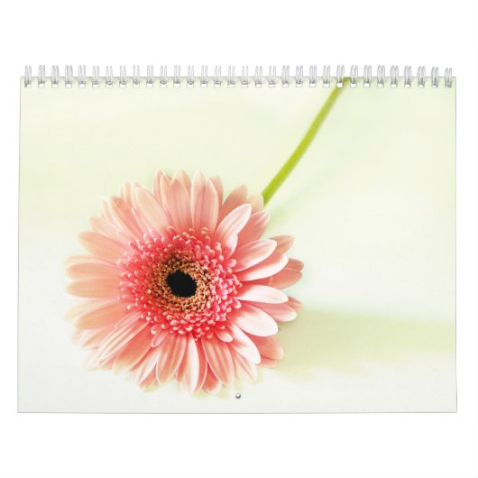 Blumen Kalender (Titelbild)
