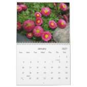 Blumen Kalender (Jan 2027)