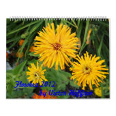 Blumen Kalender (Titelbild)