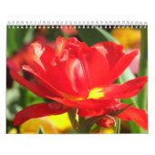 Blumen-Kalender 2012 Kalender (Titelbild)