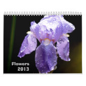 Blumen-Kalender 2013 Kalender (Titelbild)