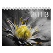 Blumen-Kalender 2013 Kalender (Titelbild)