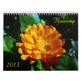 Blumen-Kalender 2013 Kalender (Titelbild)