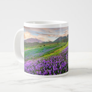 Blumen Kalifornische Wildblumen Jumbo-Tasse