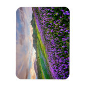 Blumen | Kalifornische Wildblumen Magnet (Vertikal)