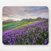 Blumen | Kalifornische Wildblumen Mousepad (Vorne)