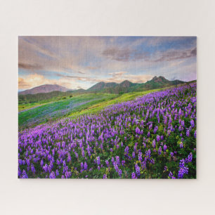 Blumen Kalifornische Wildblumen Puzzle
