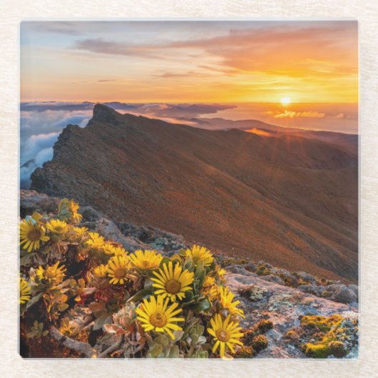 Blumen | Kanarische Inseln, Spanien Glasuntersetzer (Vorderseite)