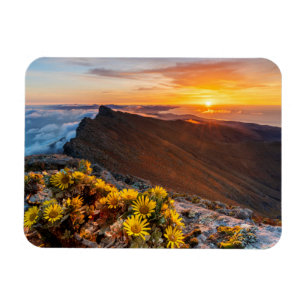 Blumen Kanarische Inseln, Spanien Magnet