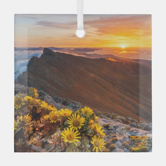 Blumen | Kanarische Inseln, Spanien Ornament Aus Glas (Vorderseite)